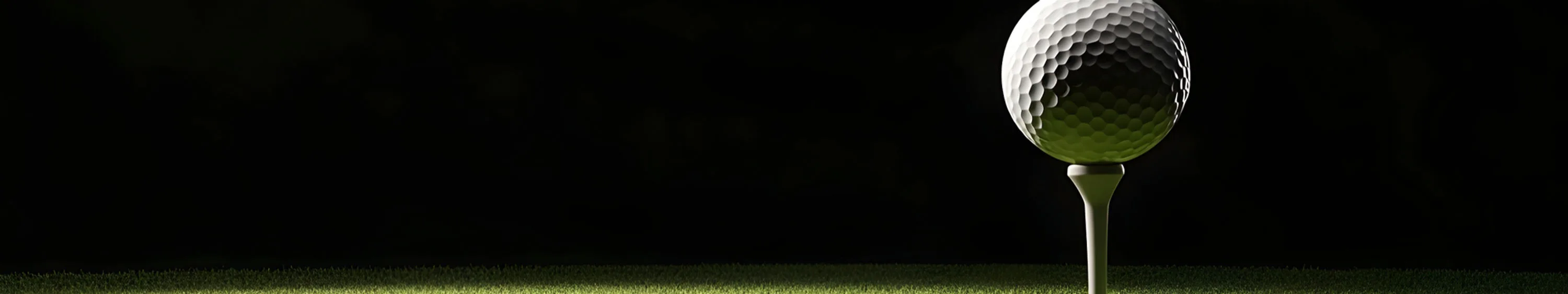 Comprehensive Coaching